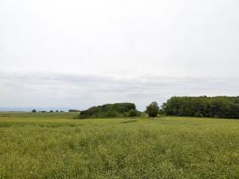 Ligne Maginot - BOIS DE HOFFEN EST - O3 - (Casemate d'infanterie - Simple) - Direction de tir JM et 47 (vers casemate de Hoffen)