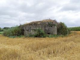Ligne Maginot - BUCHHOLZERBERG Est ( Blockhaus pour arme infanterie ) - Vue coté gauche