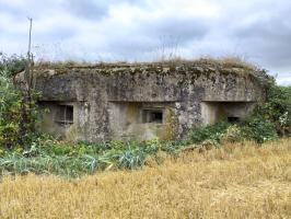 Ligne Maginot - BUCHHOLZERBERG Est ( Blockhaus pour arme infanterie ) - Façade du blockhaus