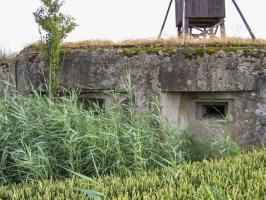 Ligne Maginot - Vue générale extérieure - Façade du blockhaus