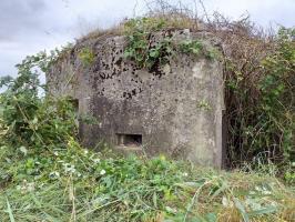 Ligne Maginot - BUCHHOLZERBERG Est ( Blockhaus pour arme infanterie ) - Créneau de défense rapprochée 