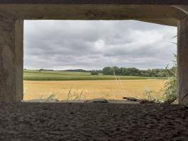 Ligne Maginot - BUCHHOLZERBERG Est ( Blockhaus pour arme infanterie ) - Vue depuis l'embrasure gauche