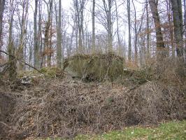 Ligne Maginot - BOIS DE HOFFEN 2 - (Blockhaus pour arme infanterie) - Vue depuis  la lisière