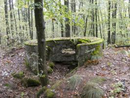 Ligne Maginot - BIESENBERG (Cuve pour arme d'infanterie) - 