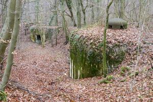 Ligne Maginot - BOIS d'ESCHERANGE - X3 (Quartier Kanfen - I/169°RIF) ( Abri ) - Vue des deux coffrres d'entrée de l'abri