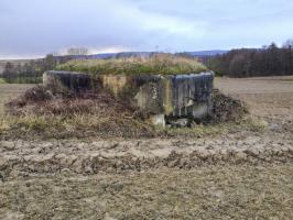 Ligne Maginot - HECKENMUEHLE Centre (Blockhaus pour arme infanterie) - Vue générale