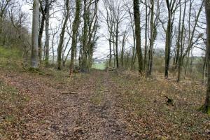 Ligne Maginot - WEIDESHEIMER BERG (QUARTIER SCHLOSSWALD - I/133 RIF) - (PC de Quartier) - Vue generale