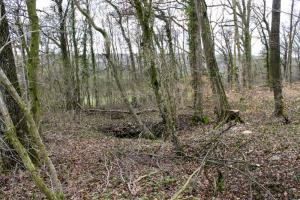 Ligne Maginot - WEIDESHEIMER BERG (QUARTIER SCHLOSSWALD - I/133 RIF) - (PC de Quartier) - Vers un premier abri en tôle métro