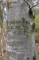 Ligne Maginot - WEIDESHEIMER BERG (QUARTIER SCHLOSSWALD - I/133 RIF) - (PC de Quartier) - Inscription daté du 23-11-39