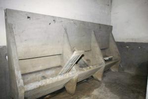 Ligne Maginot - HOFFEN - (Abri) - Lavabos
(PC)