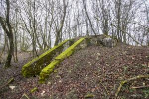 Ligne Maginot - X561 - (Chambre de coupure) - 