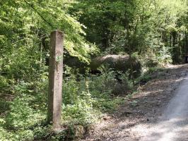 Ligne Maginot - My13 - VILLECLOYE (Casemate d'artillerie) - 