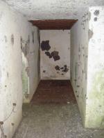 Ligne Maginot - My13 - VILLECLOYE (Casemate d'artillerie) - 