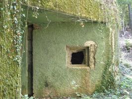Ligne Maginot - My13 - VILLECLOYE (Casemate d'artillerie) - 