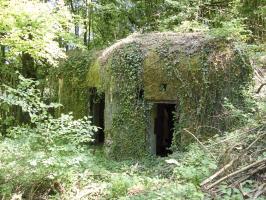 Ligne Maginot - My13 - VILLECLOYE (Casemate d'artillerie) - 