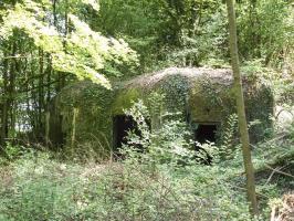 Ligne Maginot - My13 - VILLECLOYE (Casemate d'artillerie) - 