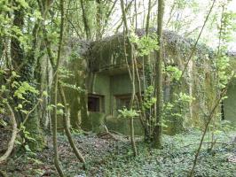 Ligne Maginot - My13 - VILLECLOYE (Casemate d'artillerie) - 