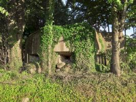 Ligne Maginot - OBERSEEBACH EST - (Blockhaus pour canon) - Créneaux FM