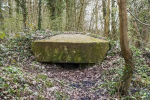 Ligne Maginot - STEINMUEHLE 2 - (Blockhaus pour arme infanterie) - 