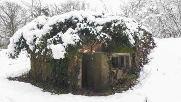 Ligne Maginot - HAUTE DIGUE 8 - (Blockhaus pour arme infanterie) - Entrée et créneau mitrailleuse sud