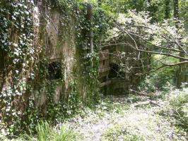 Ligne Maginot - BOIS DE RITTERSHOFFEN 1 - (Casemate d'infanterie - Simple) - 