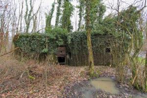 Ligne Maginot - BOIS DE RITTERSHOFFEN 1 - (Casemate d'infanterie - Simple) - 