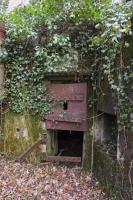 Ligne Maginot - BOIS DE RITTERSHOFFEN 1 - (Casemate d'infanterie - Simple) - 