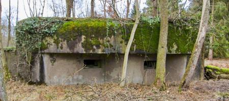 Ligne Maginot - BOIS DE RITTERSHOFFEN 3 - (Casemate d'infanterie - Simple) - 
