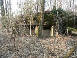 Ligne Maginot - BOIS DE RITTERSHOFFEN 3 - (Casemate d'infanterie - Simple) - 