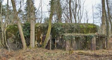 Ligne Maginot - BOIS DE RITTERSHOFFEN 3 - (Casemate d'infanterie - Simple) - 