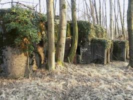 Ligne Maginot - BOIS DE RITTERSHOFFEN 3 - (Casemate d'infanterie - Simple) - 