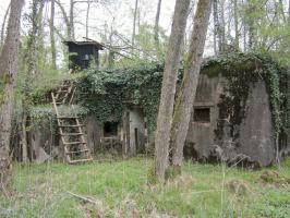 Ligne Maginot - BOIS DE RITTERSHOFFEN 4 - (Casemate d'infanterie - Simple) - Façade de l'entrée