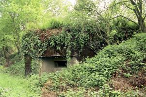 Ligne Maginot - BOIS DE RITTERSHOFFEN 5 - (Casemate d'infanterie - Simple) - État 1999