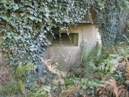 Ligne Maginot - BOIS DE RITTERSHOFFEN 5 - (Casemate d'infanterie - Simple) - Vue extérieure d'un des créneau jumelage
