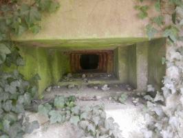 Ligne Maginot - BOIS DE RITTERSHOFFEN 5 - (Casemate d'infanterie - Simple) - 