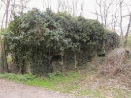 Ligne Maginot - BOIS DE RITTERSHOFFEN 5 - (Casemate d'infanterie - Simple) - Façade chambre de tir