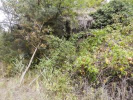 Ligne Maginot - BOIS DE RITTERSHOFFEN 6 - (Casemate d'infanterie) - 