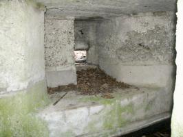 Ligne Maginot - BOIS de RITTERSHOFFEN d (Blockhaus pour arme infanterie) - 