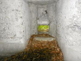 Ligne Maginot - BOIS de RITTERSHOFFEN d (Blockhaus pour arme infanterie) - 