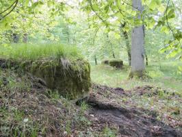 Ligne Maginot - BOIS DE RITTERSHOFFEN e - (Blockhaus pour arme infanterie) - Les deux blocs
