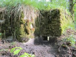 Ligne Maginot - BOIS DE RITTERSHOFFEN e - (Blockhaus pour arme infanterie) - Créneau gauche