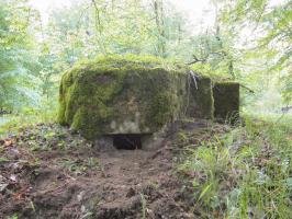 Ligne Maginot - BOIS de RITTERSHOFFEN f (Blockhaus pour arme infanterie) - Créneau principal