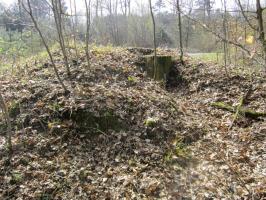 Ligne Maginot - CARREFOUR SUCHAUX 3 - (Cuve pour arme d'infanterie) - 