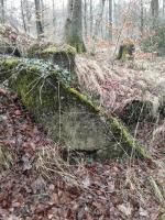 Ligne Maginot - CHENAIE 1 (Blockhaus pour arme infanterie) - 