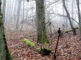 Ligne Maginot - BARRUNGSHOFF - BORNUNGSHOFF - X11 - (Abri) - Cloche GFM dans la brume