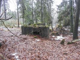 Ligne Maginot - COL DU WIEP 1 - (Blockhaus de type indeterminé) - 