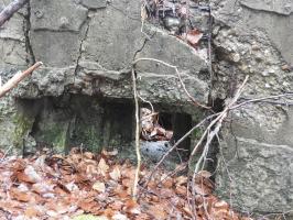 Ligne Maginot - COL DU WIEP 1 - (Blockhaus de type indeterminé) - Un créneau pour FM