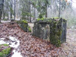 Ligne Maginot - COL DU WIEP 1 - (Blockhaus de type indeterminé) - 