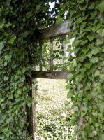 Ligne Maginot - LUDELANGE - (Camp de sureté) - Restes de la porte en bois