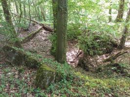 Ligne Maginot - GERRITTMUEHLE 1 - (Blockhaus de type indeterminé) - Cratère de l'explosion ?